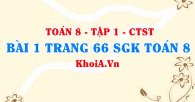 Bài 1 trang 66 SGK Toán 8 Tập 1 Chân trời sáng tạo